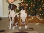 Bentley and Nadia