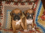 Kendi and Mia