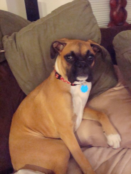 Tessa at 6 months