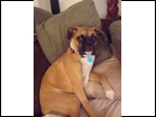 Tessa at 6 months