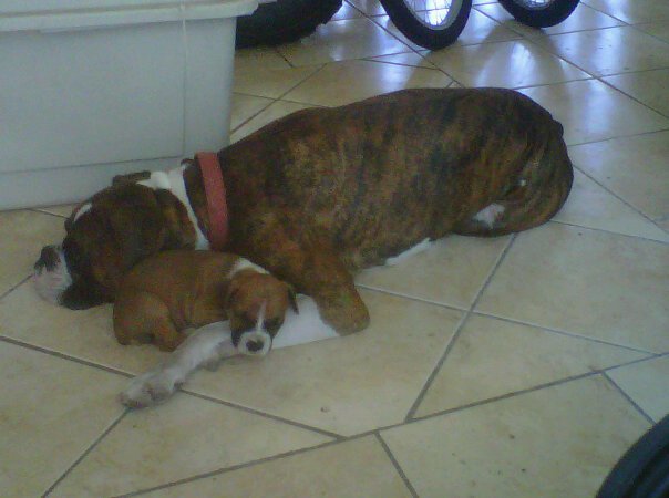 Honey and her Dad
