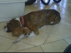Honey and her Dad