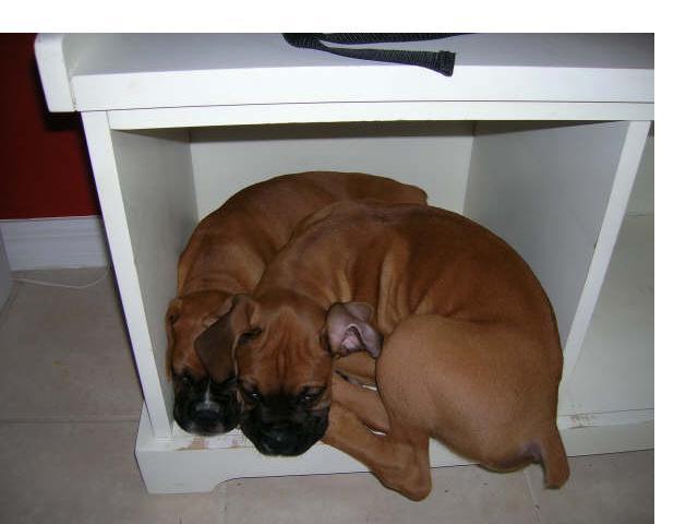Mia &amp; Kendi