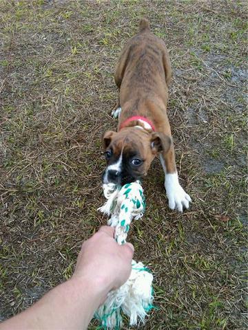 Ben at 3 months
