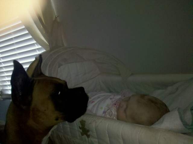 Duke babysitting