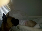 Duke babysitting