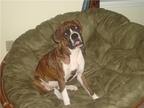Nadia at 6 months