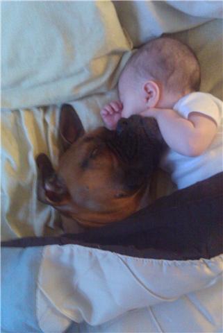 BJ at a year old