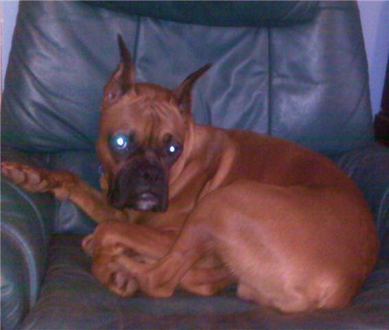 Miles at 1 year