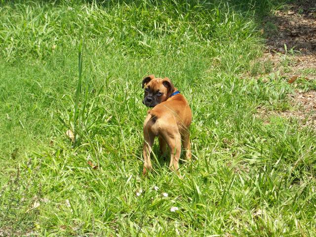 Kalypso at 6 months