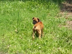 Kalypso at 6 months