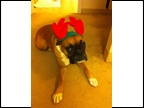 Tessa@ Christmas '10