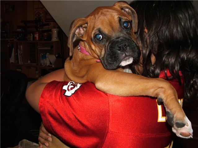 Jewel at 3 months