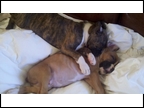 Sophie & Charlie