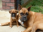 Phoenix and her new big sister