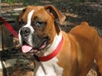 Roxy