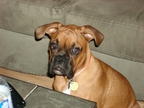 George at 4 months