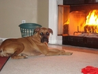 Icon at 1 year