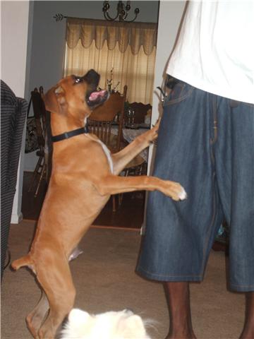 King at 4 months