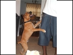 King at 4 months