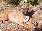 Donar at 6 months