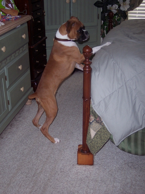 Niko at 6 months