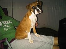 Rocco@3 months