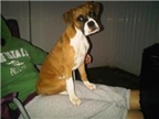 Rocco@3 months