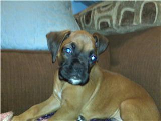 Miles at 9 weeks