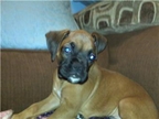 Miles at 9 weeks