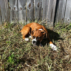 Buster @ 3 months