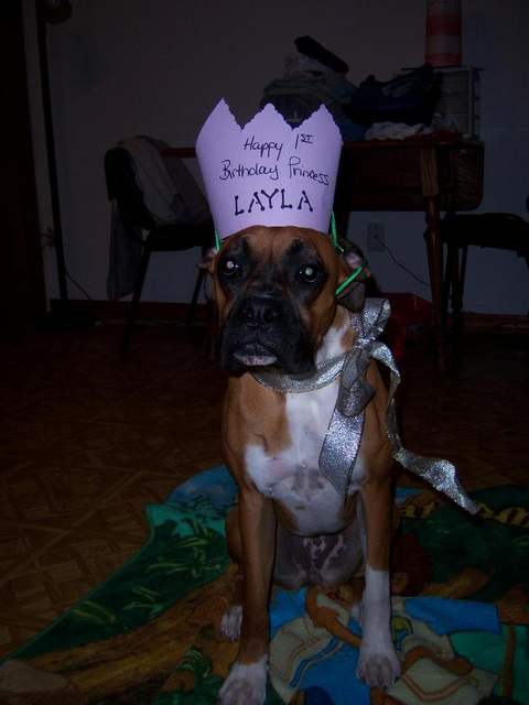 Layla's 1st birthday