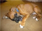 Maverick @3 months
