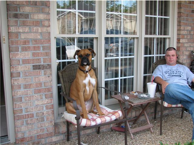 Chaos in his chair