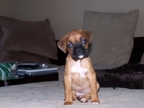 Jersey at 3 months
