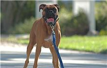 George at 2 yrs