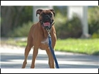 George at 2 yrs