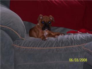 Pluto relaxing