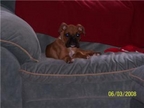 Pluto relaxing