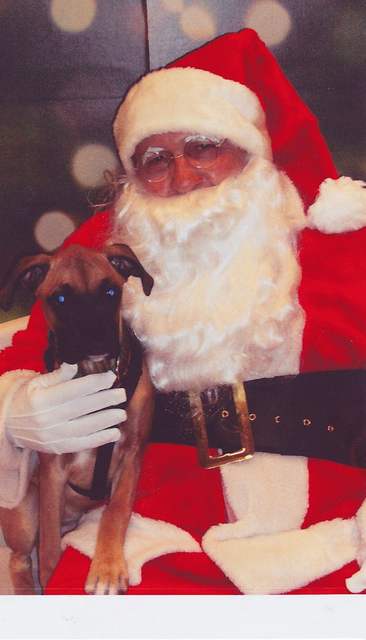 Lola's 1st Christmas