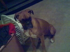 Damien at 6 months