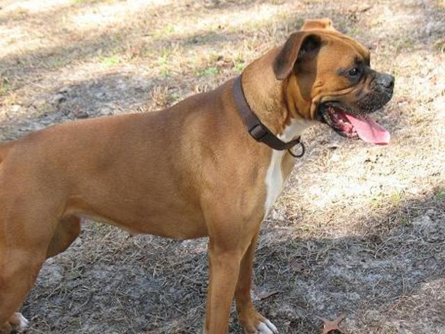 Shay at 15 months