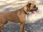 Shay at 15 months