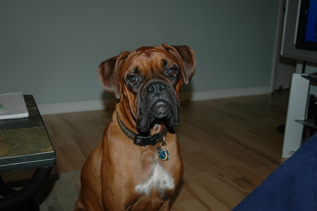 George at 1 year