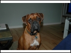 George at 1 year