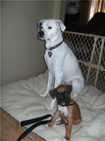 BJ and his new sister Laila
