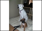 BJ and his new sister Laila