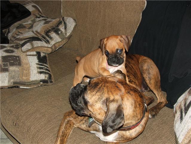 Jewel with her big brother JJ